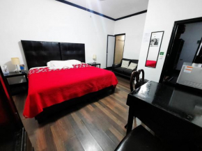 Отель Garcias Suites y Hotel  Линарес
